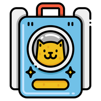 Pet Travel