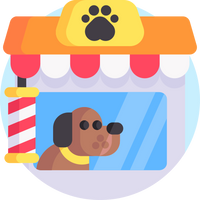 Pet Toys